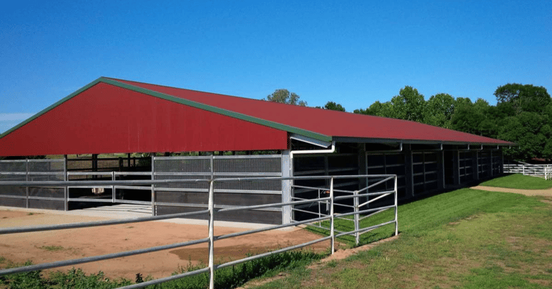 Equestrian shed basics: what you need to know